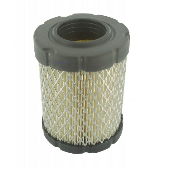 Briggs and stratton best sale air filter replacement